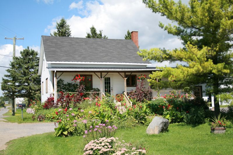 Remodeling in Summer